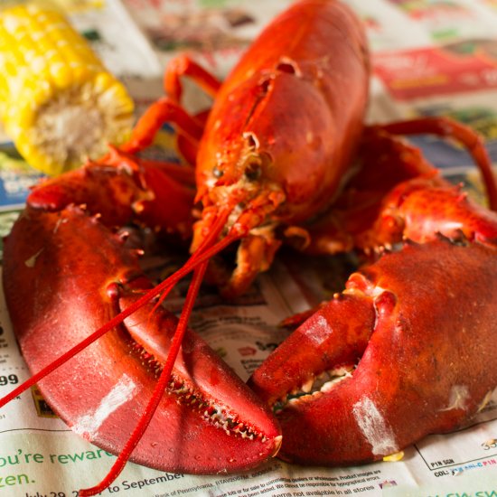 Steamed Lobster with Drawn Butter