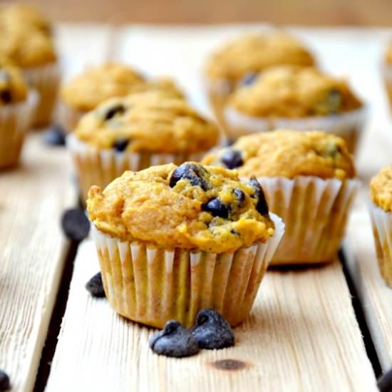 Pumpkin Chocolate Chip Mini Muffins