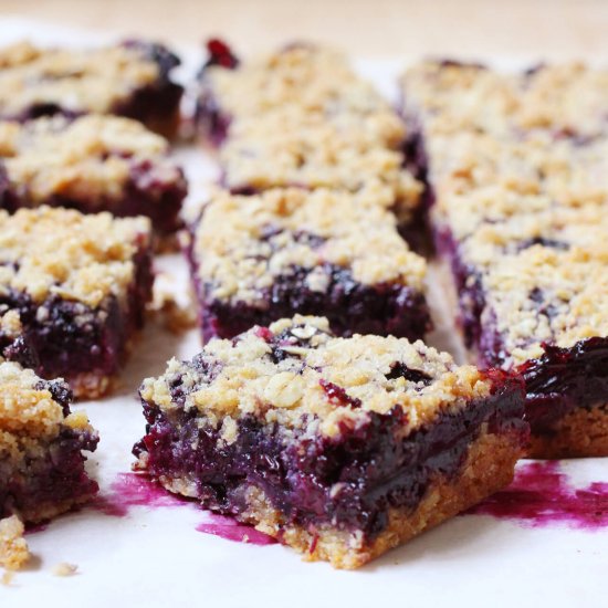 Oats and Blueberry Crumb Bars