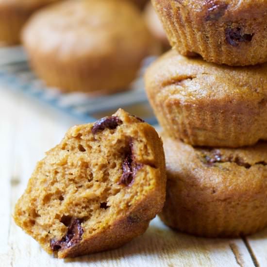 Pumpkin Chocolate Chip Muffins