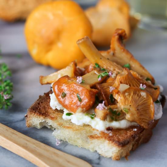 Chanterelle Mushroom Crostini