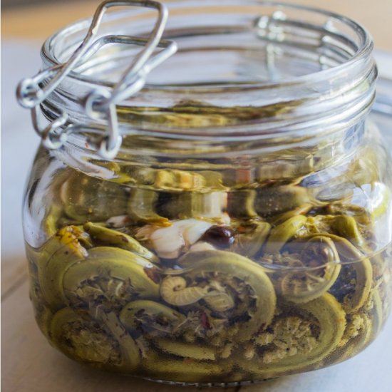 Spicy Pickled Fiddleheads