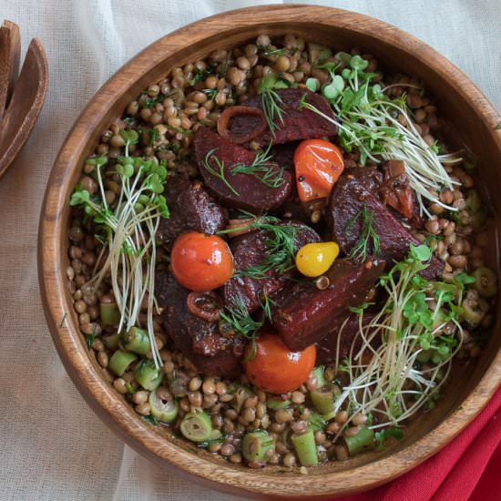 Veg Patch Beet & Lentil Salad