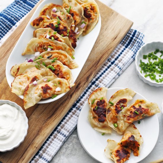 Roasted Sweet Potato Potstickers