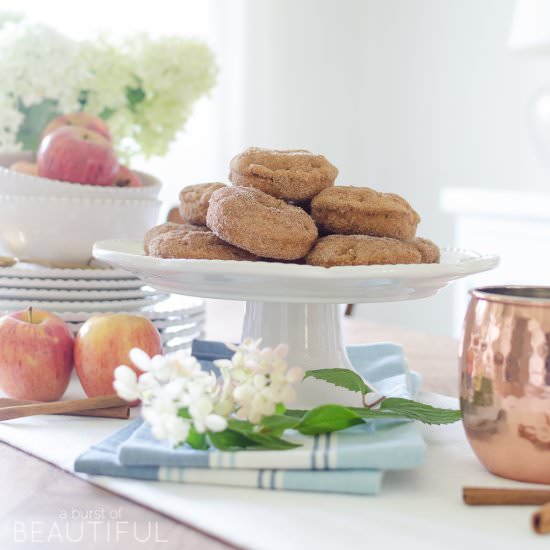 Harvest Apple Spice Donuts