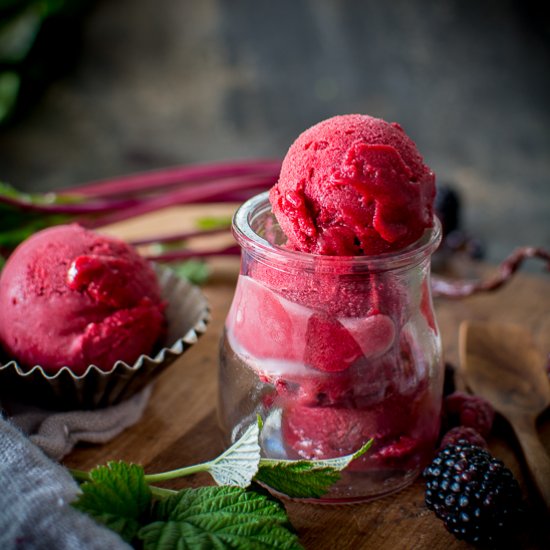 Beet Raspberry Rose Sorbet