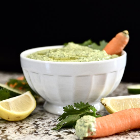 Citrus, Cucumber and Cilantro Dip