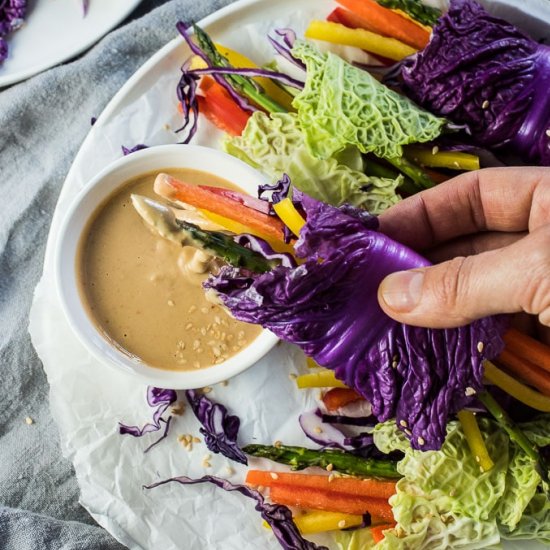 Veggie Rainbow Wraps