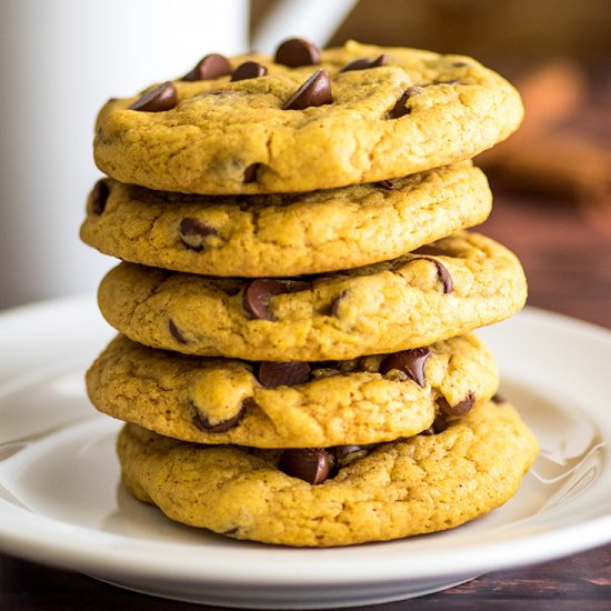 Small-batch Chocolate Chip Pumpkin