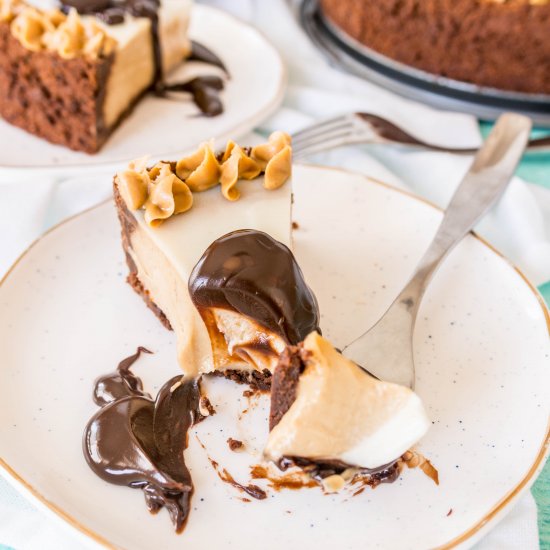 Peanut Butter Brownie Cheesecake