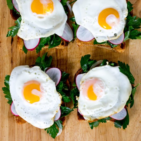 Fried Egg on Toast