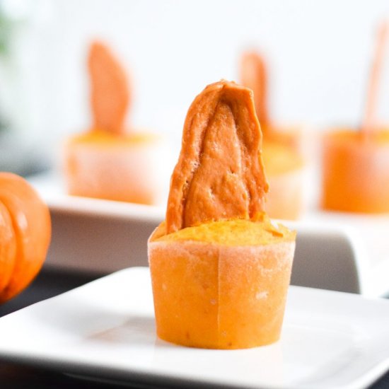 Pumpkin Chicken Jerky Pupsicles