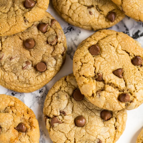 Chocolate Chip Biscoff Cookies