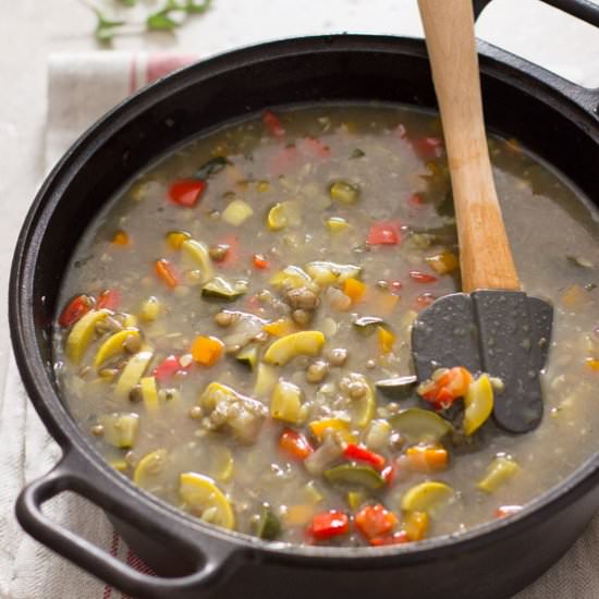 Colorful Vegetable and Lentil Soup