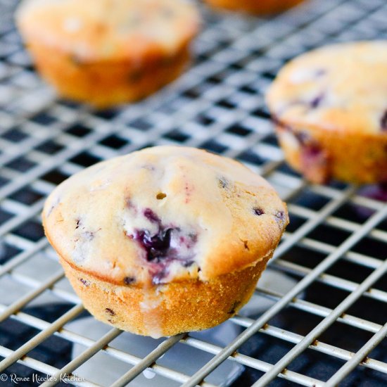 Wild Blackberry Muffins with Lemon