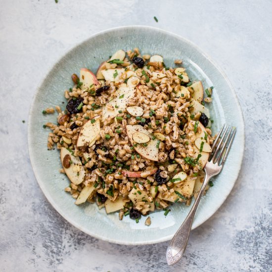 Fall Farro Salad