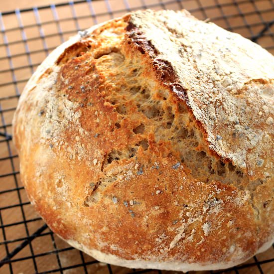 Simple No Knead Bread