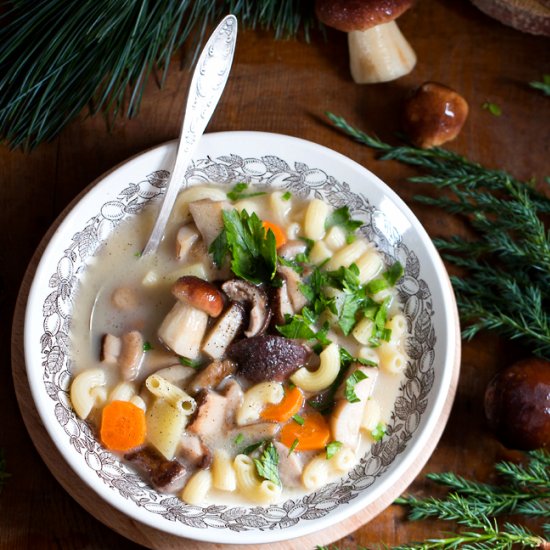 Porcini Mushrooms Soup