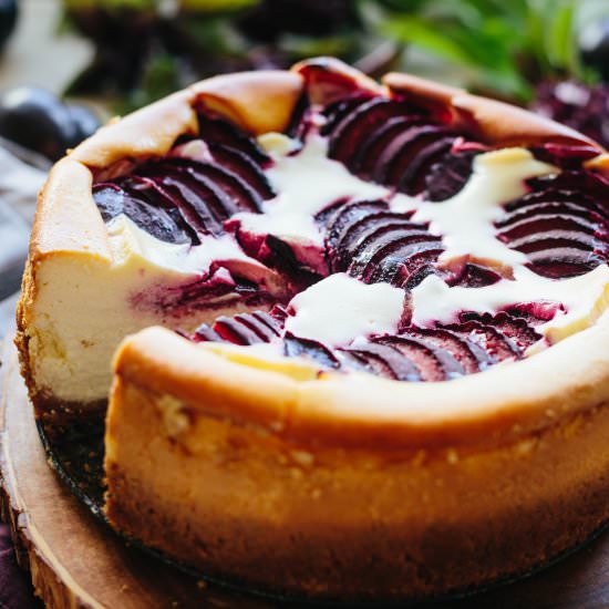 Ricotta Cheesecake with Plums