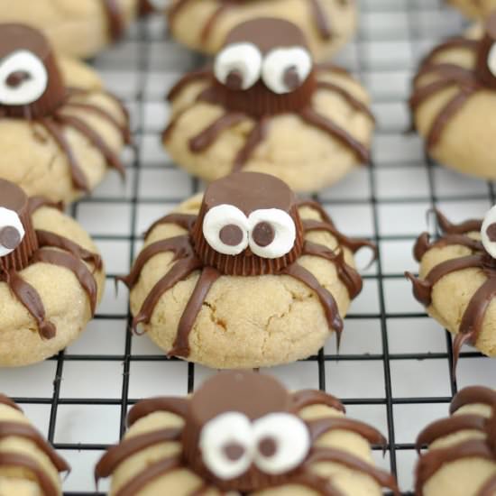 Spider Cookies