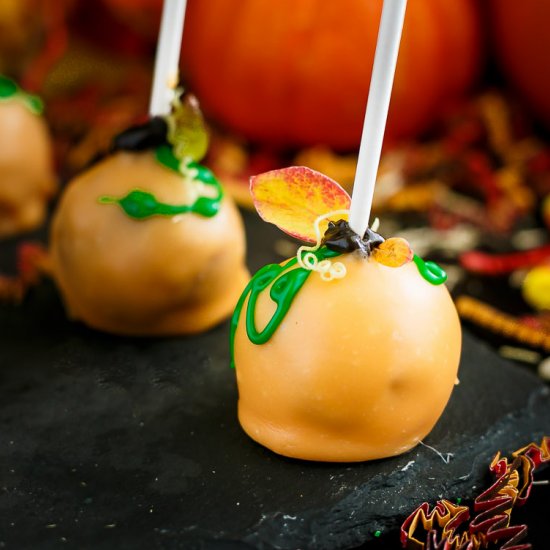 Hazelnut Pumpkin Cake Pop