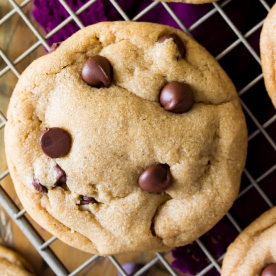 Cookie Butter Chocolate Chip Cookie