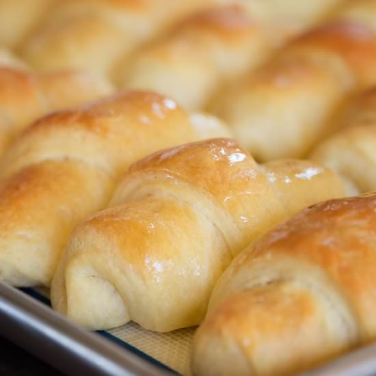 Homemade Dinner Rolls