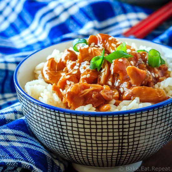 Slow Cooker Teriyaki Chicken