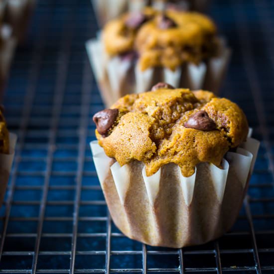 Pumpkin Chocolate Chip Muffins