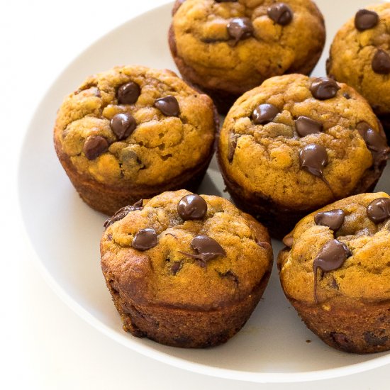 Pumpkin Chocolate Chip Muffins