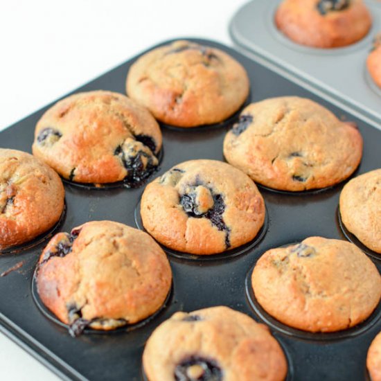 Eggless Blueberry Muffins