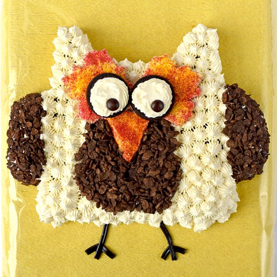 Owl Cut-Up Cake