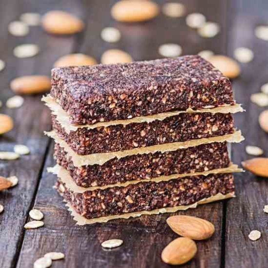 Pemmican Protein Bar