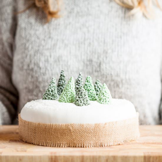 Simple Vegan Christmas Cake