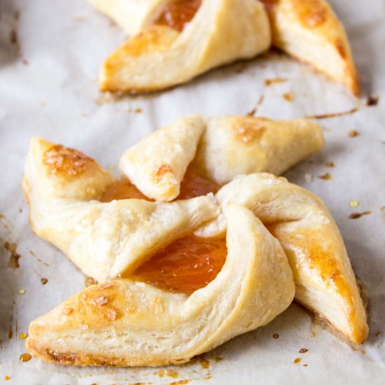 Apricot Pin Wheels