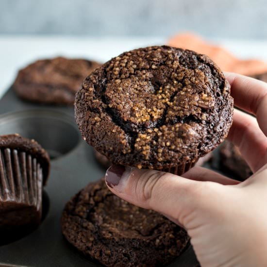 Cinnamon Chocolate Muffins