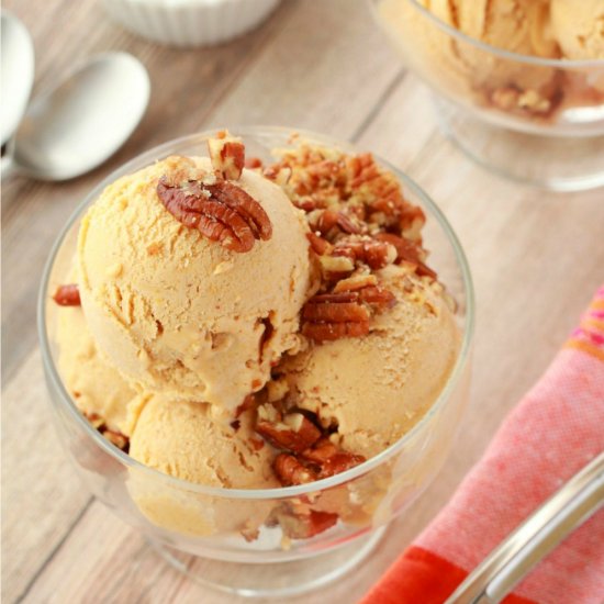 Vegan Pumpkin Ice Cream