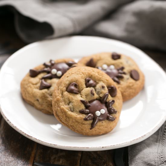 Halloween Spider Cookies