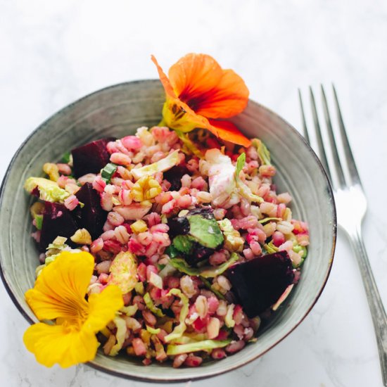 Beetroot, Barley & Cheese Salad