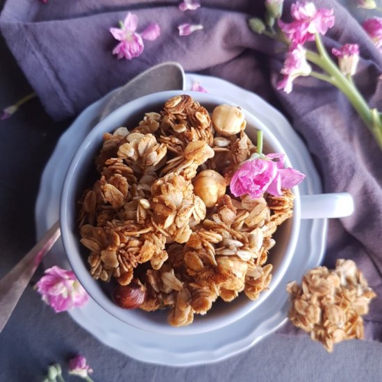 Winter Gingerbread Cherry Granola