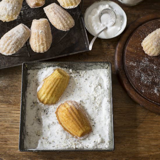 madeleines with lavendar & lemon