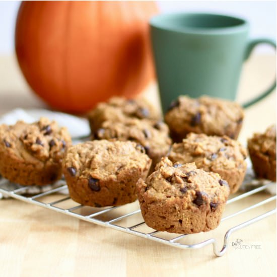 Gluten Free Pumpkin Spice Muffins