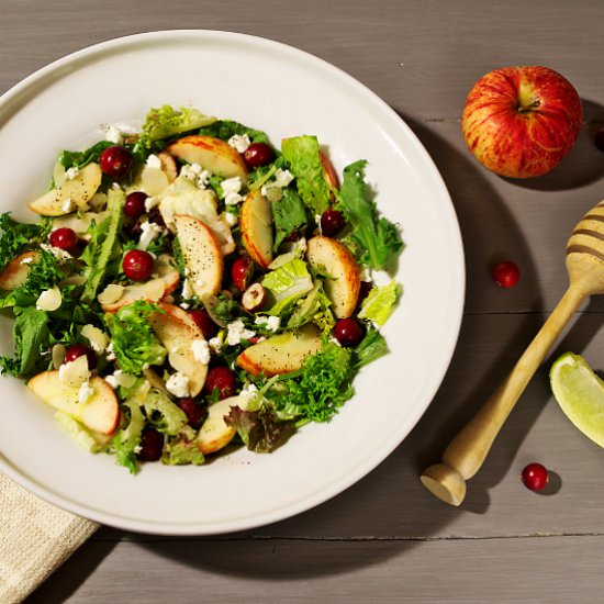 Apple Cranberry Salad with Feta