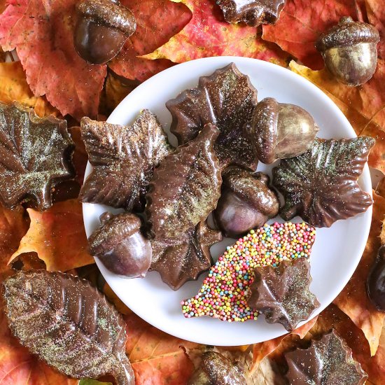 Easy Chocolate Leaves