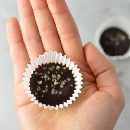 Hemp Heart Fudge Bites