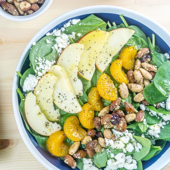 Apple Mandarin Orange Spinach Salad