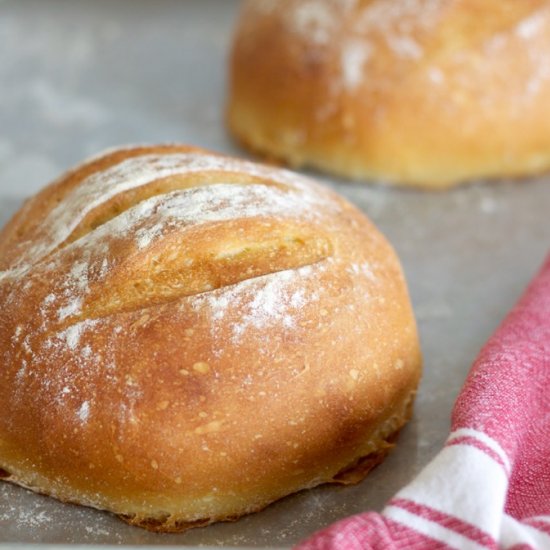 Crusty No-Knead Bread