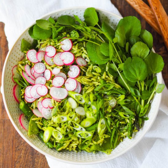 Spring Orzo Salad with Pesto