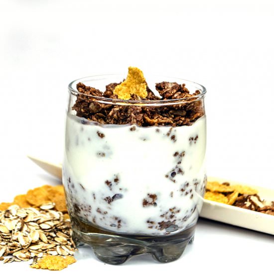 Creamy Yogurt and Chocolate Granola