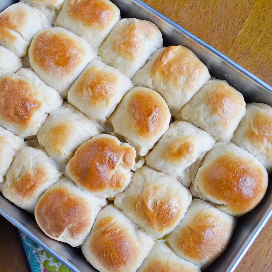 Thanksgiving Dinner Rolls